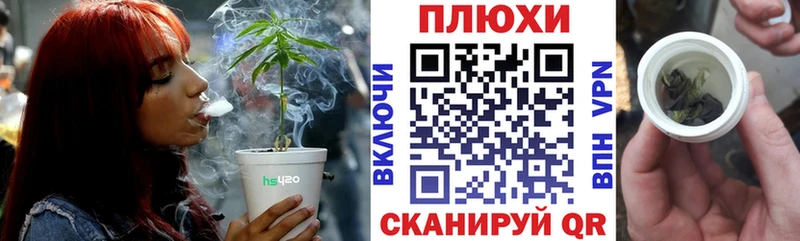 купить наркотики цена  Кирово-Чепецк  блэк спрут ССЫЛКА  ГАШИШ AMNESIA HAZE 