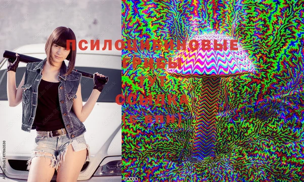 марки lsd Новосибирск