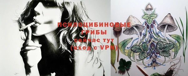 бошки Дмитров