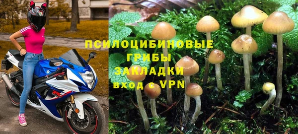 a pvp Гусев