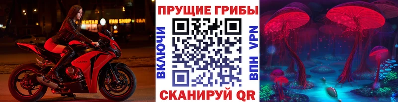Псилоцибиновые грибы GOLDEN TEACHER  дарнет шоп  Кирово-Чепецк 